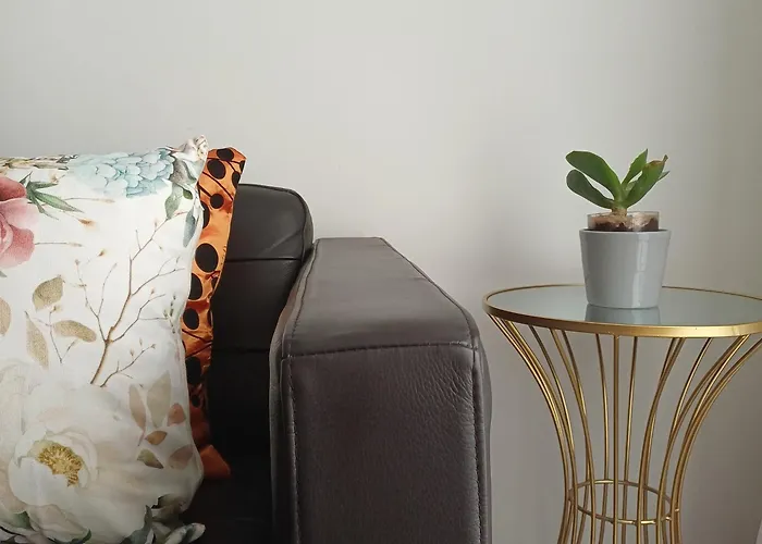 Appartement Perfect With Terrace And Good Vibes Porto